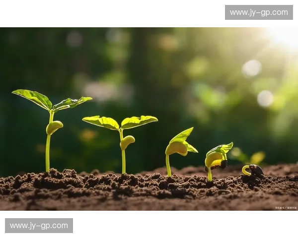 激发内心潜能点燃斗志实现自我超越与卓越人生